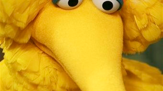 Big Bird On 40 Years Of <em>Sesame Street</em> Scandals